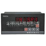 XMDA-6000智能巡回顯示調(diào)節(jié)器